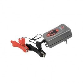 Carpoint 6/12V 750mA