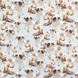 Úplet BIO Bulldog everywhere digital print